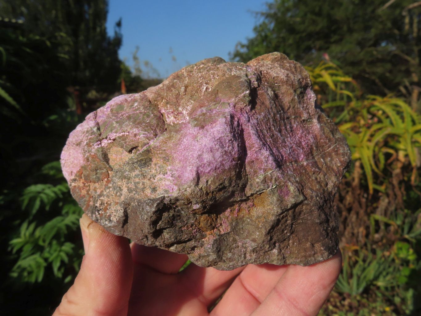 Natural Stichtite & Serpentine Specimens x 6 From Barberton, South Africa - TopRock