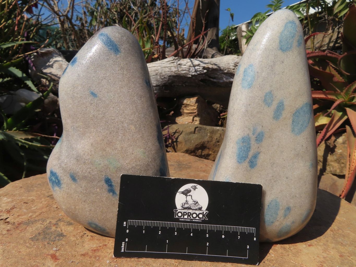 Polished Blue Spinel Standing Free Forms x 2 From Madagascar - TopRock