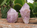 Natural Spirit Amethyst Quartz Crystals x 51 From Boekenhouthoek, South Africa - TopRock