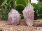 Natural Spirit Amethyst Quartz Crystals x 51 From Boekenhouthoek, South Africa - TopRock