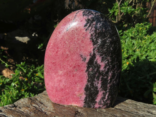 Polished Red Rhodonite Standing Free Forms x 4 From Madagascar - TopRock