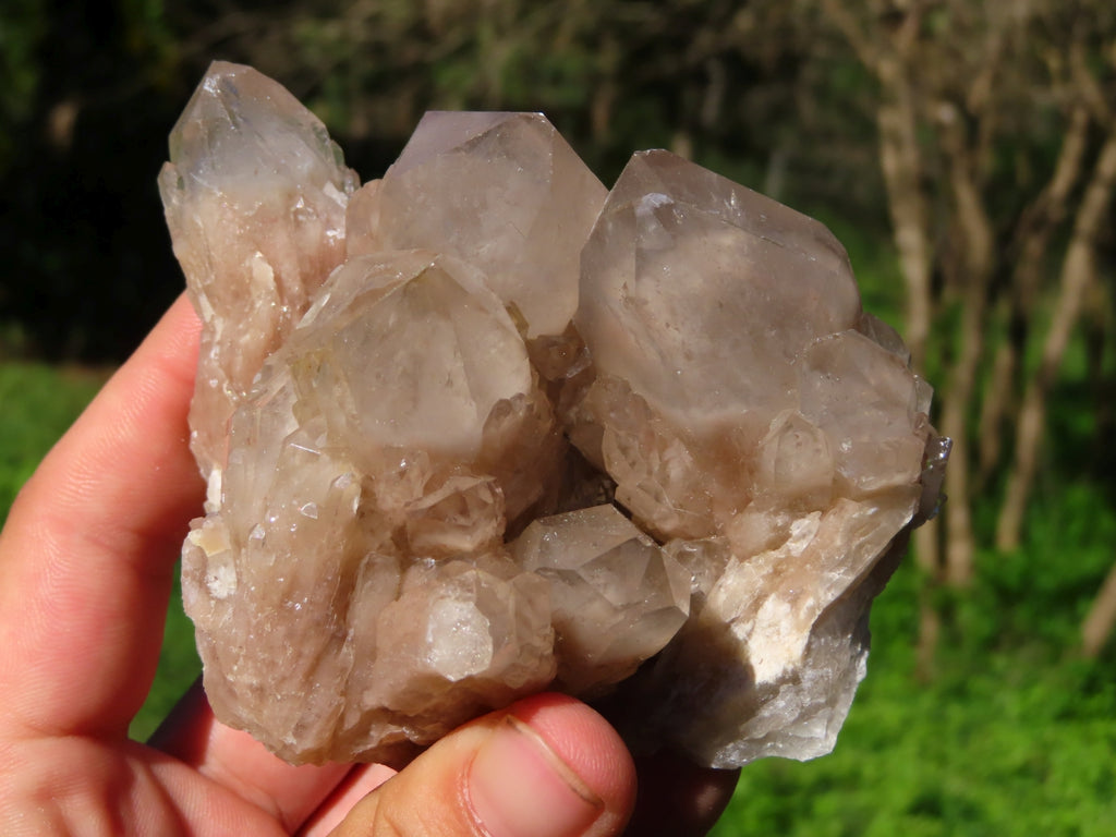 Natural Smokey Phantom Clusters x 4 From Lwena, Congo - TopRock