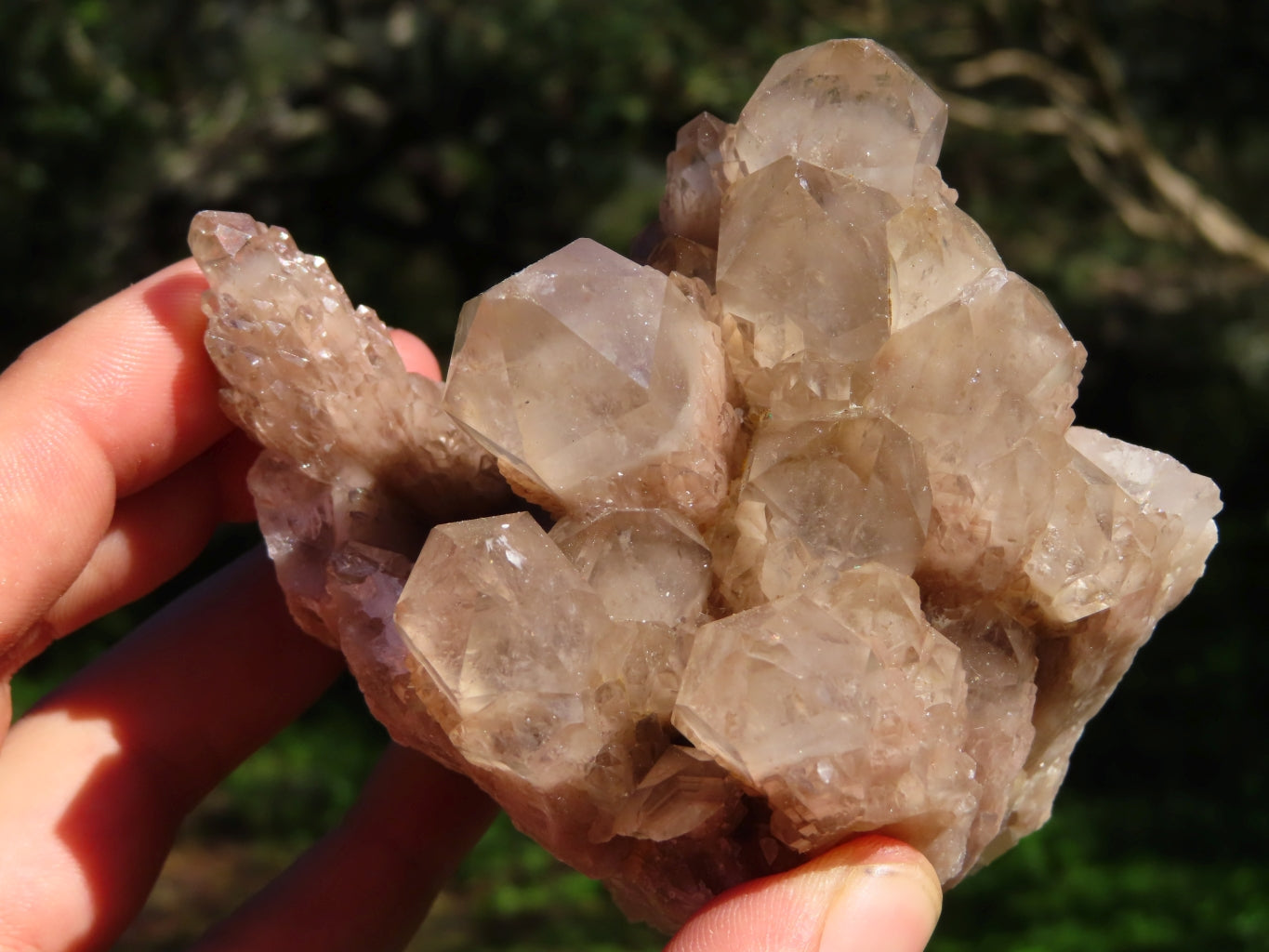 Natural Smokey Phantom Clusters x 4 From Lwena, Congo - TopRock