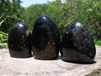 Polished Black Tourmaline Standing Free Forms With Biotite Mica Patterns x 3 From Madagascar - TopRock