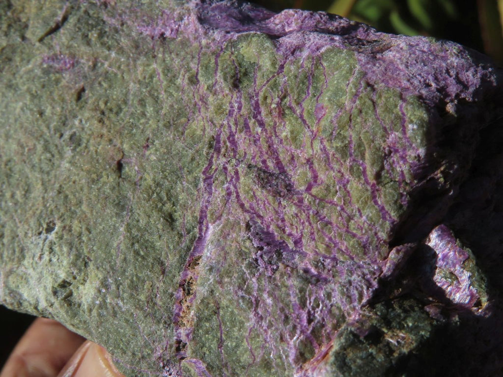 Natural Selected Rare Stichtite & Green Serpentine Specimens x 4 From Barberton, South Africa - TopRock