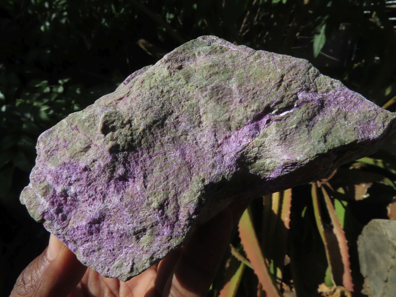 Natural Selected Rare Stichtite & Green Serpentine Specimens x 4 From Barberton, South Africa - TopRock