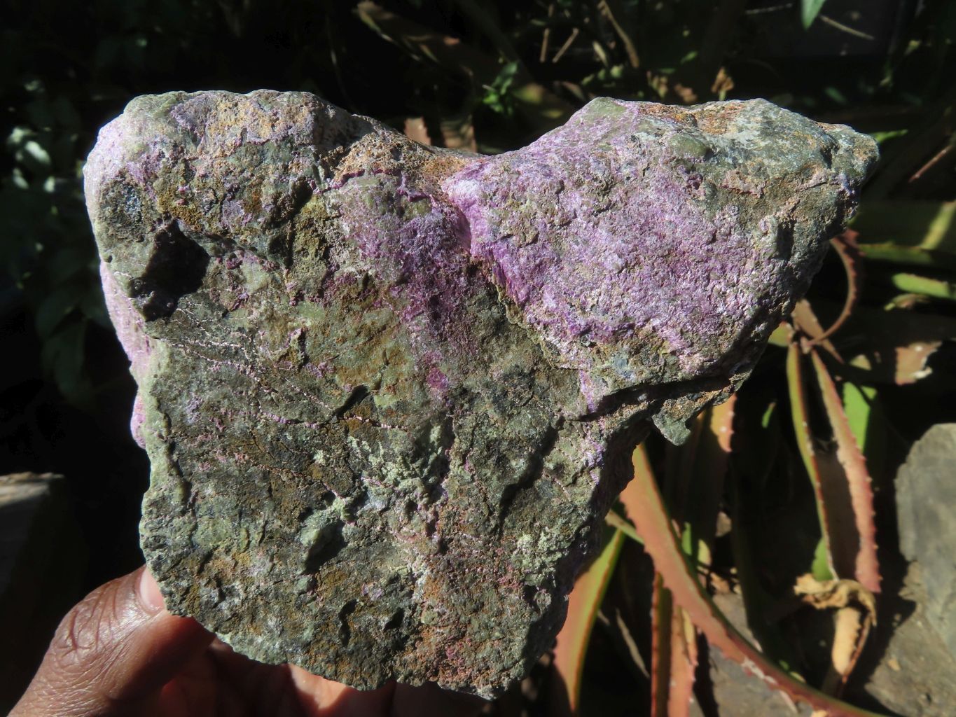 Natural Selected Rare Stichtite & Green Serpentine Specimens x 4 From Barberton, South Africa - TopRock