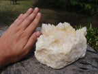 Natural White Phantom Quartz Cluster Specimens x 2 From Madagascar - TopRock