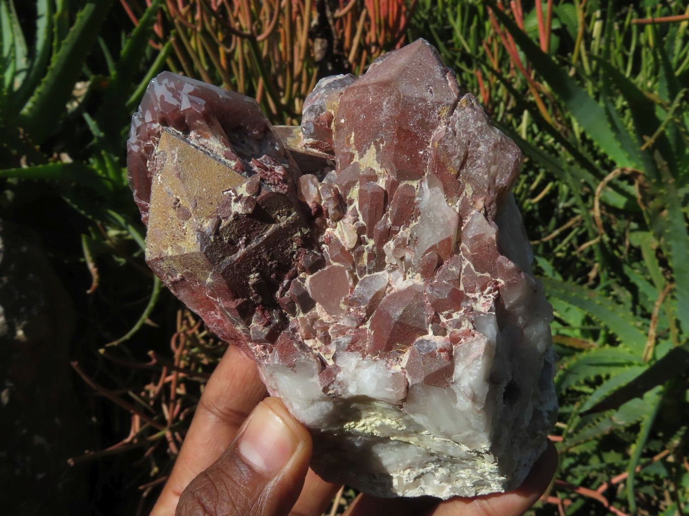 Natural Red Hematoid Quartz Clusters x 3 From Zimbabwe - TopRock