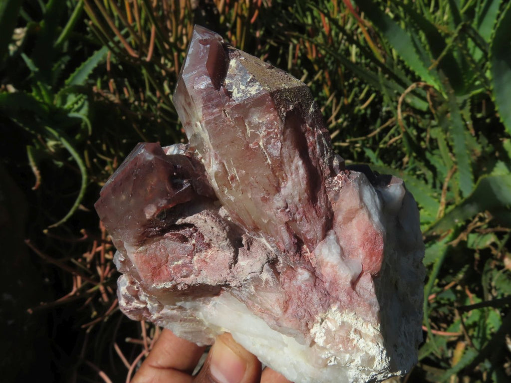 Natural Red Hematoid Quartz Clusters x 3 From Zimbabwe - TopRock