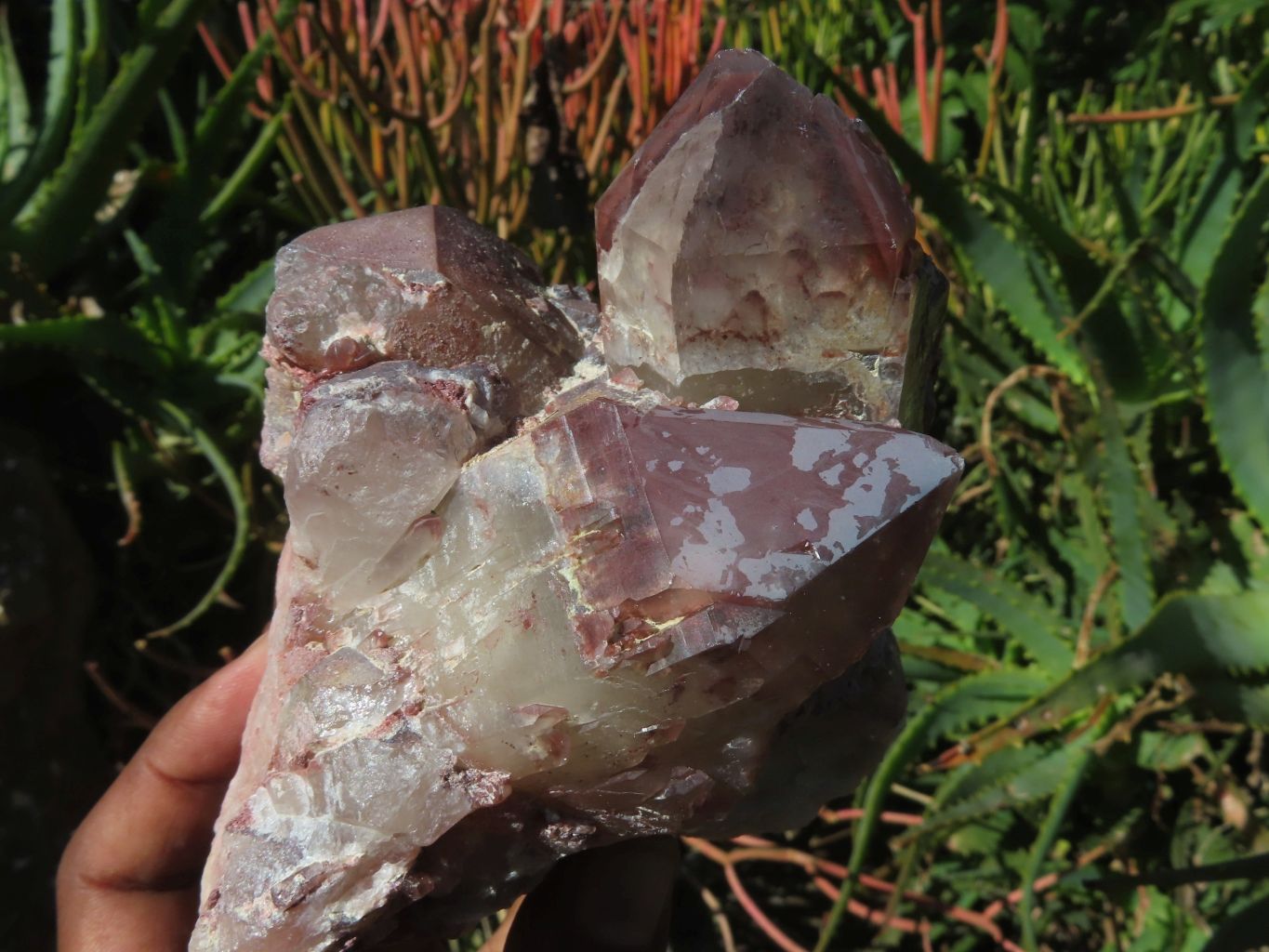 Natural Red Hematoid Quartz Clusters x 3 From Zimbabwe - TopRock