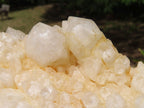 Natural White Phantom Quartz Cluster Specimens x 2 From Madagascar - TopRock