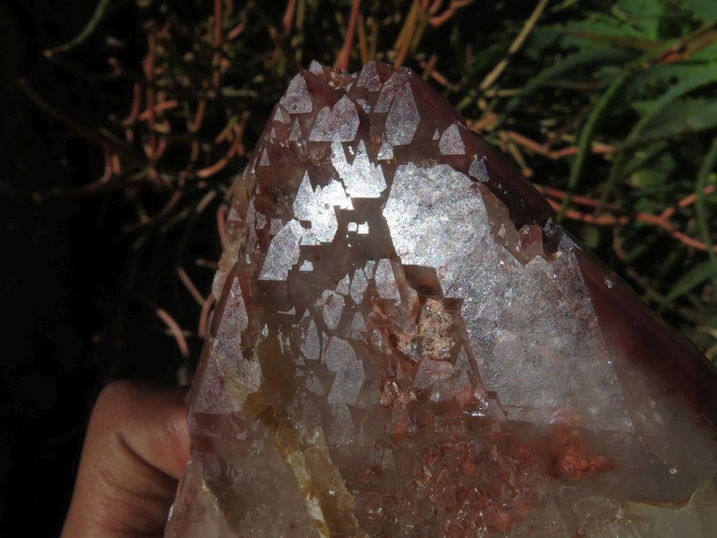 Natural Red Hematoid Quartz Clusters x 3 From Zimbabwe - TopRock