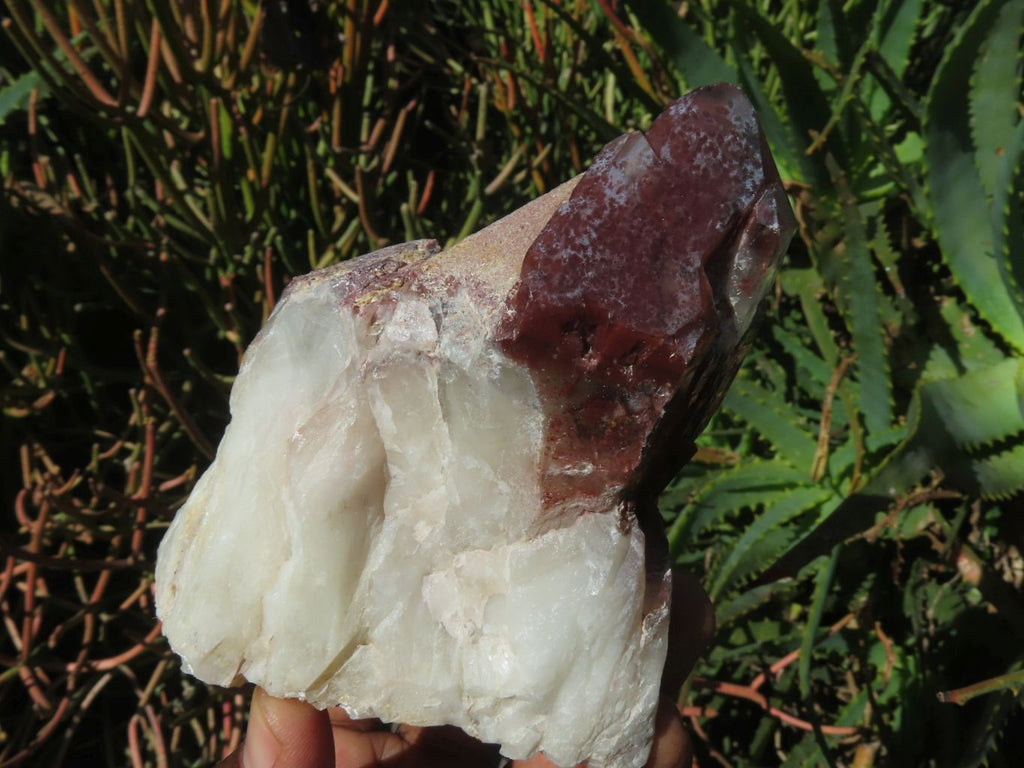 Natural Red Hematoid Quartz Clusters x 3 From Zimbabwe - TopRock