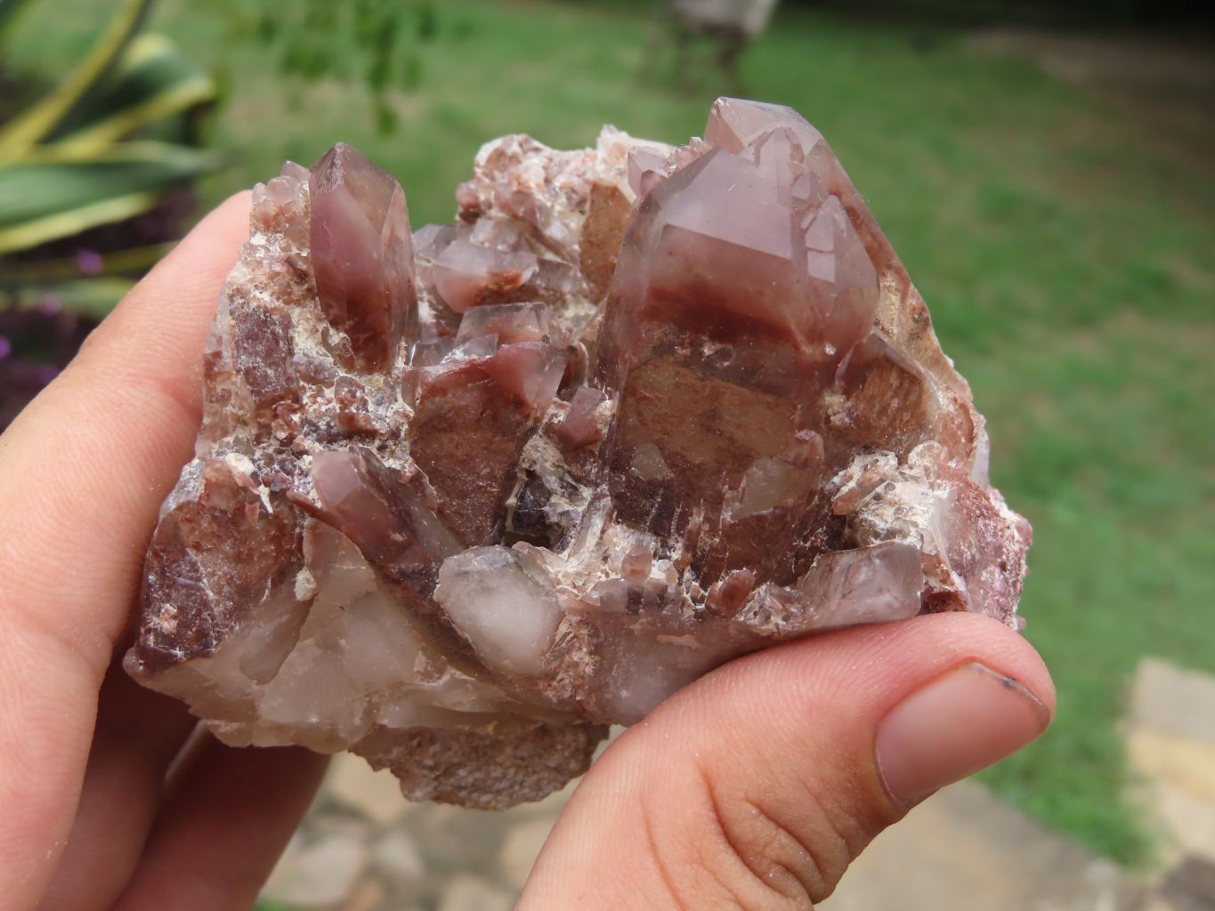Natural Red Hematoid Phantom Quartz Clusters x 3 From Zimbabwe - TopRock