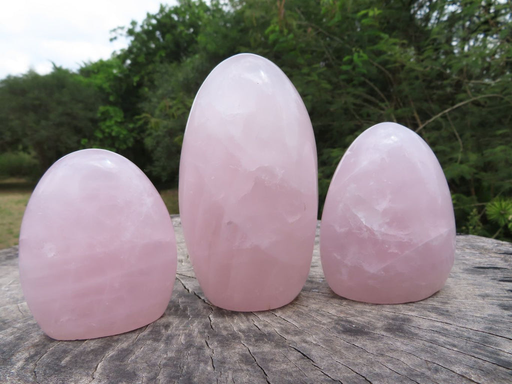 Polished Beautiful Rose Quartz Gemmy Standing Free Forms x 3 From Ambatondrazaka, Madagascar - TopRock