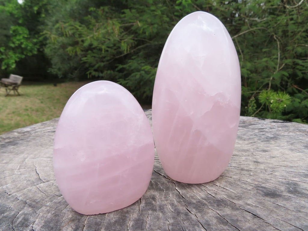 Polished Beautiful Rose Quartz Gemmy Standing Free Forms x 3 From Ambatondrazaka, Madagascar - TopRock