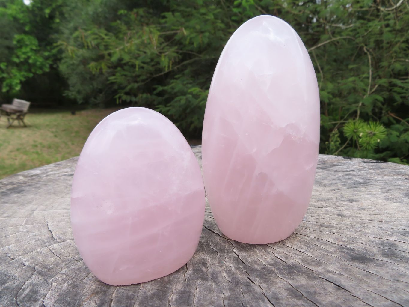 Polished Beautiful Rose Quartz Gemmy Standing Free Forms x 3 From Ambatondrazaka, Madagascar - TopRock