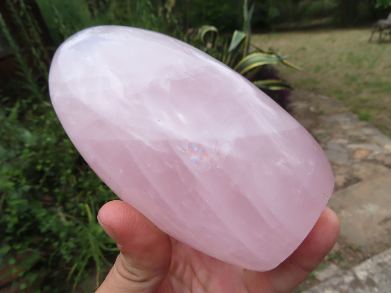 Polished Beautiful Rose Quartz Gemmy Standing Free Forms x 3 From Ambatondrazaka, Madagascar - TopRock
