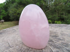 Polished Beautiful Rose Quartz Gemmy Standing Free Forms x 3 From Ambatondrazaka, Madagascar - TopRock