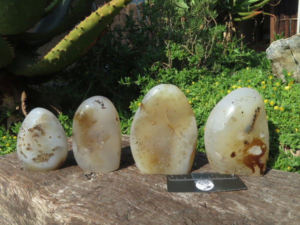 Polished Dendritic Agate Standing Free Forms  x 4 From Madagascar - TopRock