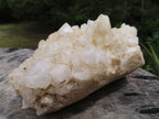 Natural White Phantom Quartz Clusters x 2 From Madagascar - TopRock