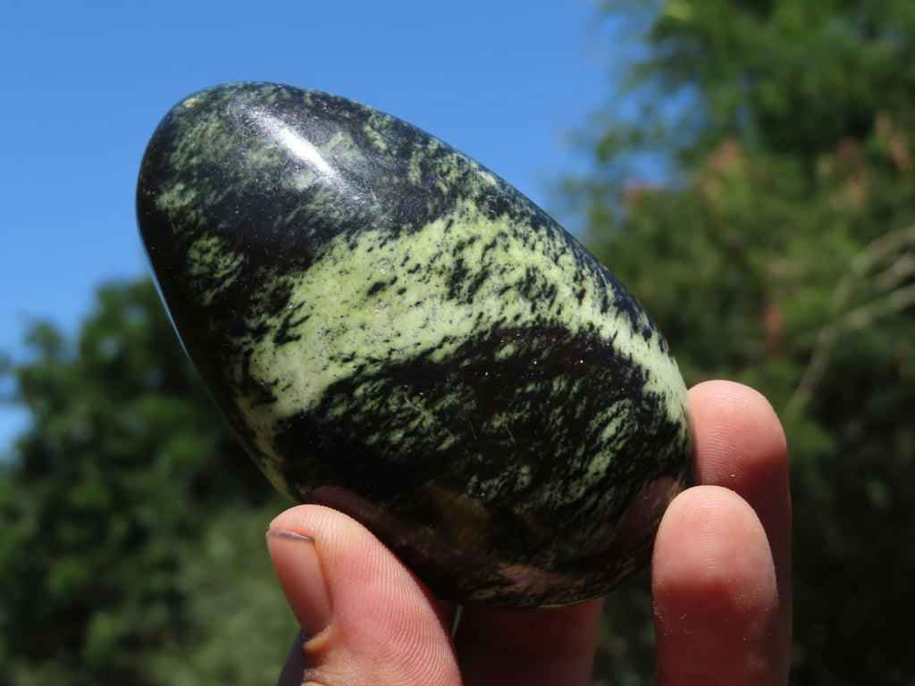 Polished Serpentine Leopard Stone Free Forms x 11 From Nyanga, Zimbabwe - TopRock