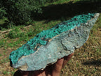 Natural Malachite Sparkly Specimens x 3 From Tenke, Congo - TopRock