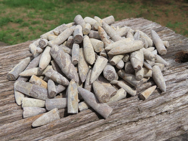 Natural Rare Belemnite Fossil Specimens x 1.6 Kg Lot From Madagascar - TopRock