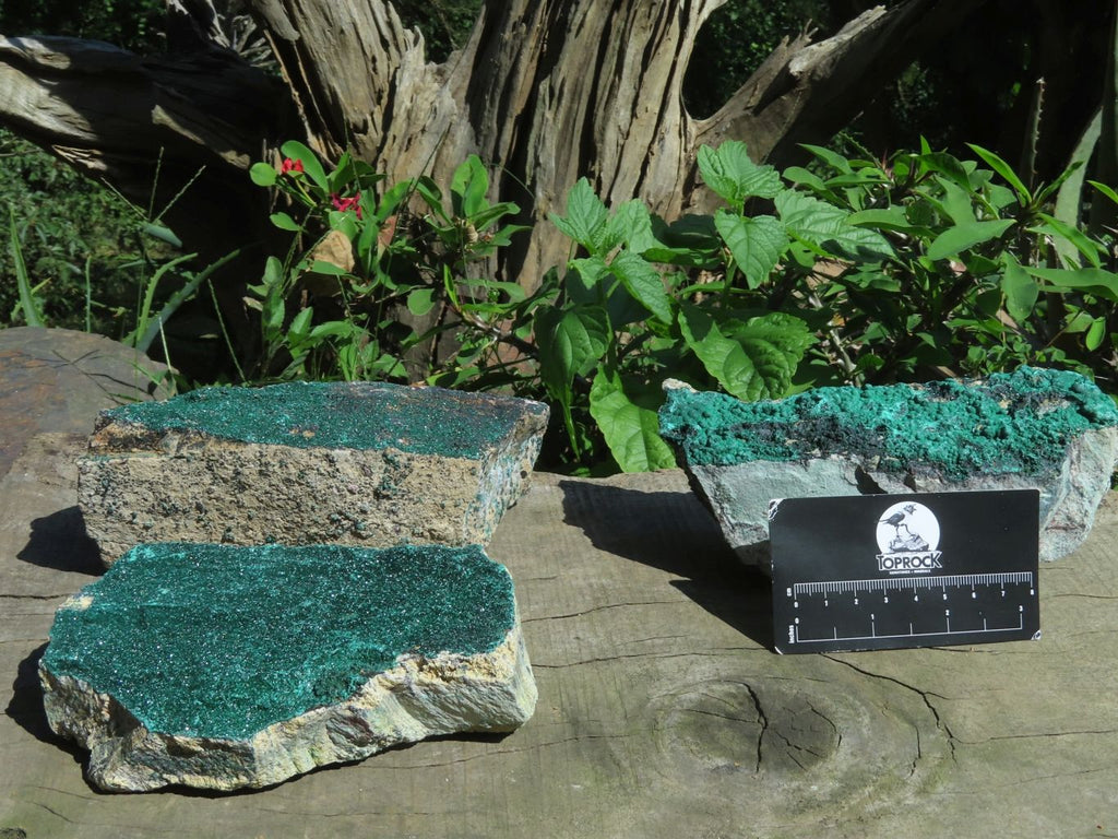 Natural Malachite Sparkly Specimens x 3 From Tenke, Congo - TopRock