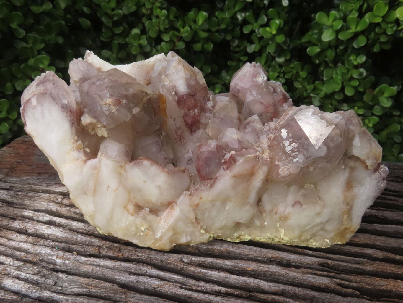 Natural Red Hematoid Quartz Cluster x 1 From Karoi, Zimbabwe - TopRock
