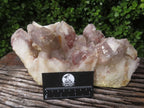 Natural Red Hematoid Quartz Cluster x 1 From Karoi, Zimbabwe - TopRock