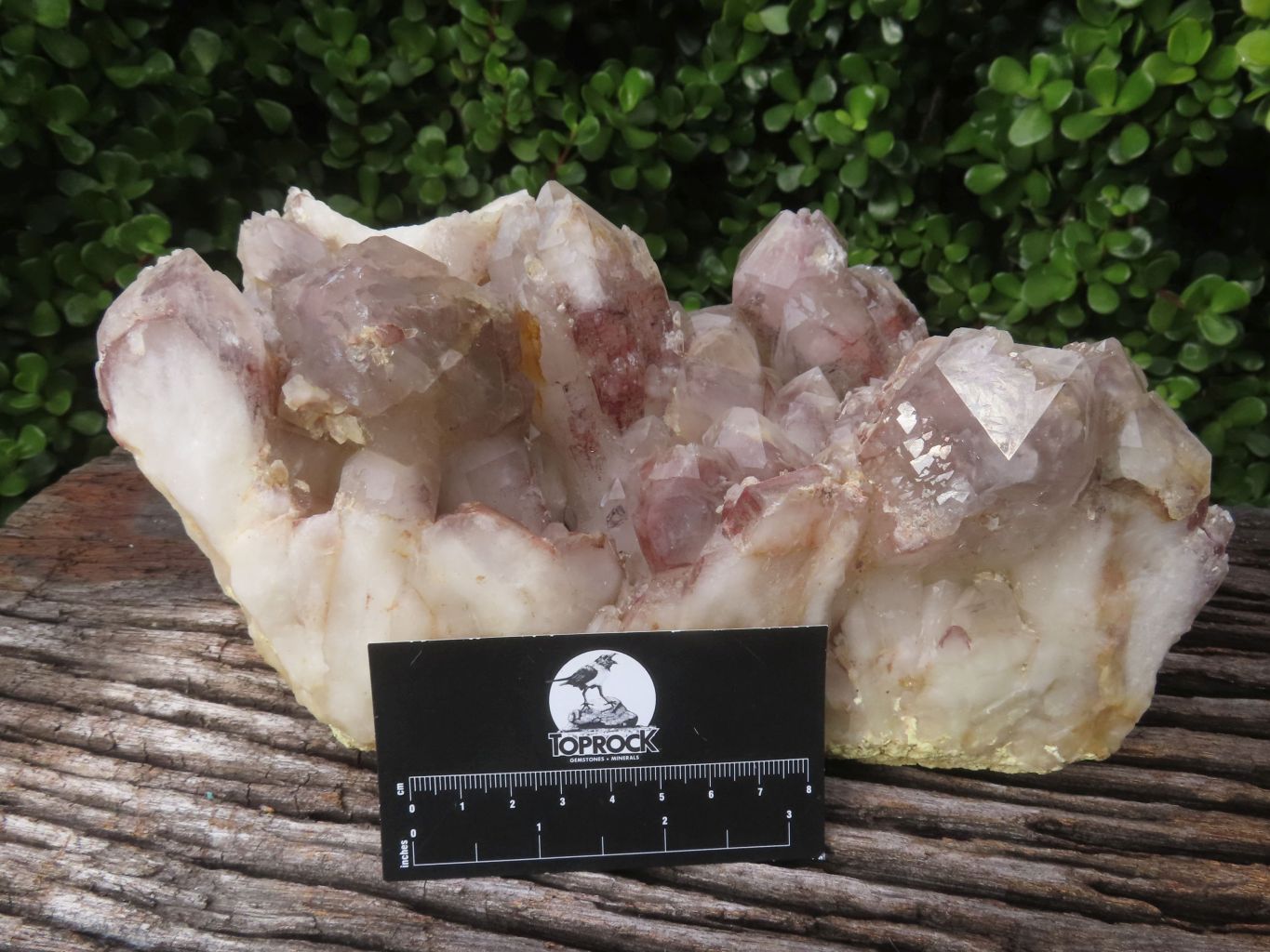 Natural Red Hematoid Quartz Cluster x 1 From Karoi, Zimbabwe - TopRock