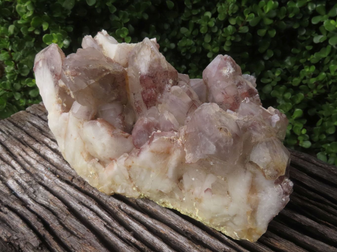 Natural Red Hematoid Quartz Cluster x 1 From Karoi, Zimbabwe - TopRock
