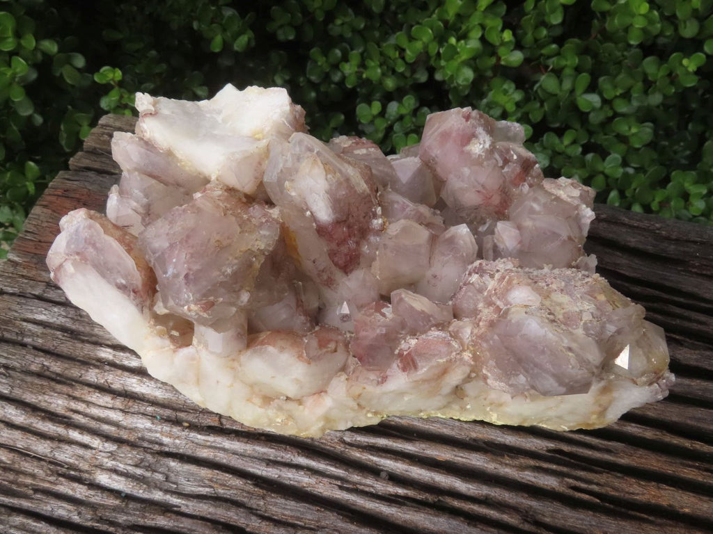 Natural Red Hematoid Quartz Cluster x 1 From Karoi, Zimbabwe - TopRock