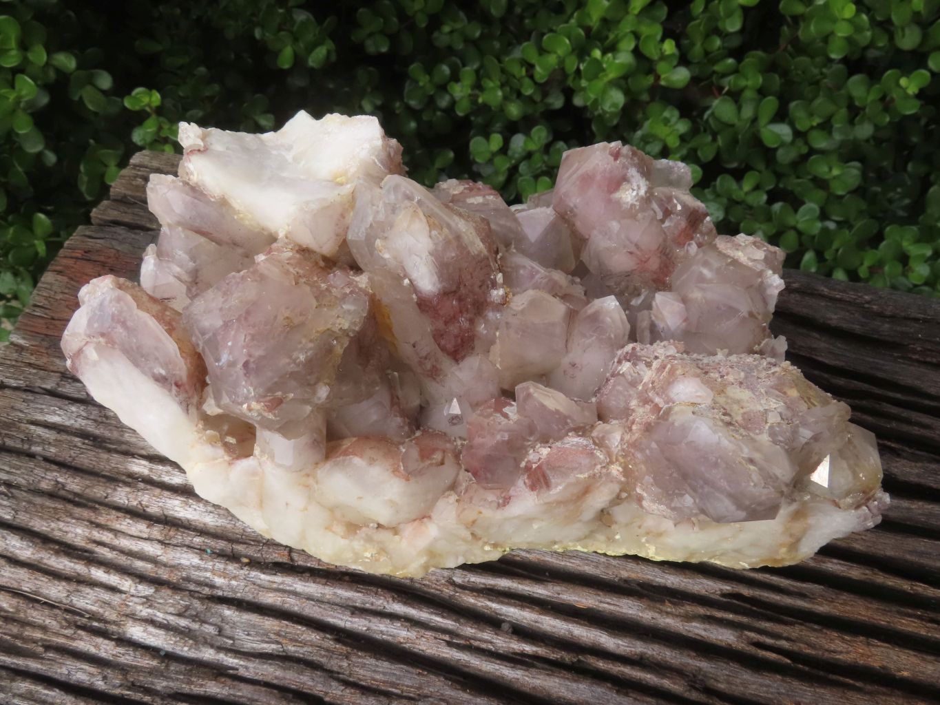 Natural Red Hematoid Quartz Cluster x 1 From Karoi, Zimbabwe - TopRock