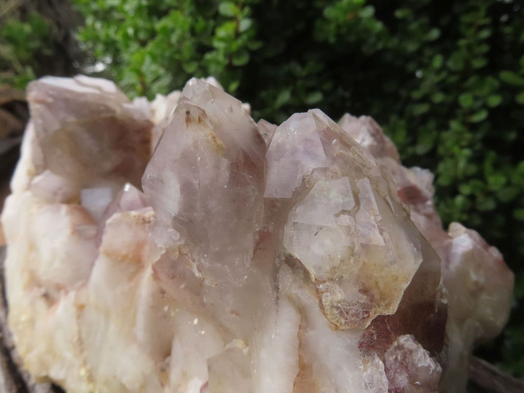 Natural Red Hematoid Quartz Cluster x 1 From Karoi, Zimbabwe - TopRock