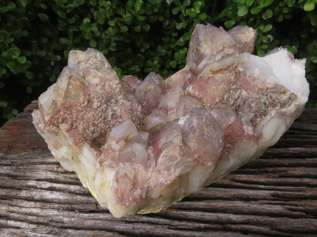 Natural Red Hematoid Quartz Cluster x 1 From Karoi, Zimbabwe - TopRock
