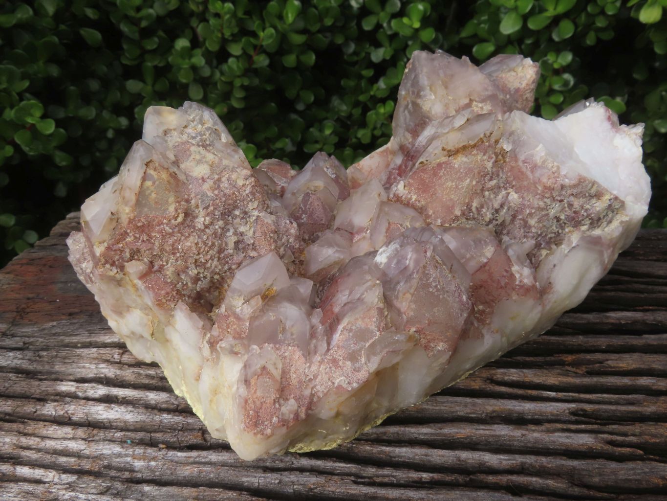 Natural Red Hematoid Quartz Cluster x 1 From Karoi, Zimbabwe - TopRock