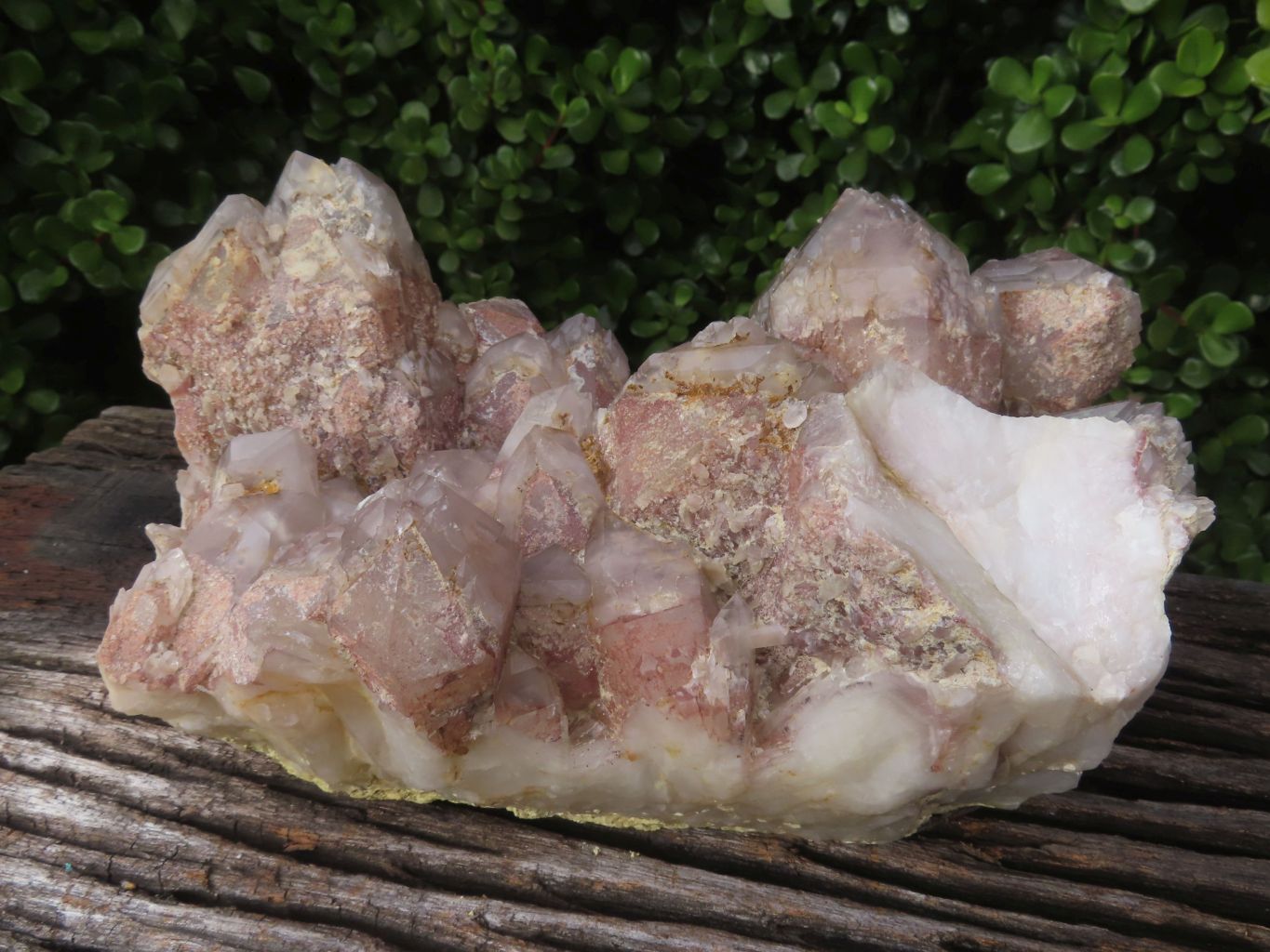 Natural Red Hematoid Quartz Cluster x 1 From Karoi, Zimbabwe - TopRock