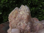 Natural Red Hematoid Quartz Cluster x 1 From Karoi, Zimbabwe - TopRock