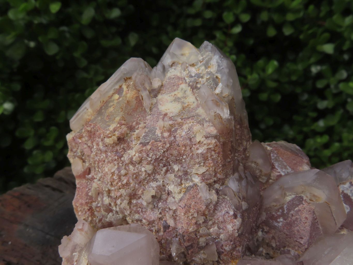 Natural Red Hematoid Quartz Cluster x 1 From Karoi, Zimbabwe - TopRock