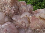Natural Red Hematoid Quartz Cluster x 1 From Karoi, Zimbabwe - TopRock