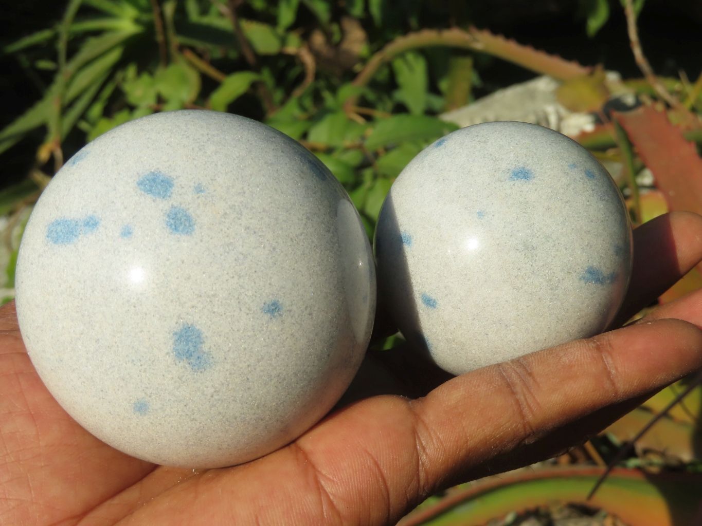 Polished Blue Spotted Spinel Spheres x 6 From Madagascar - TopRock