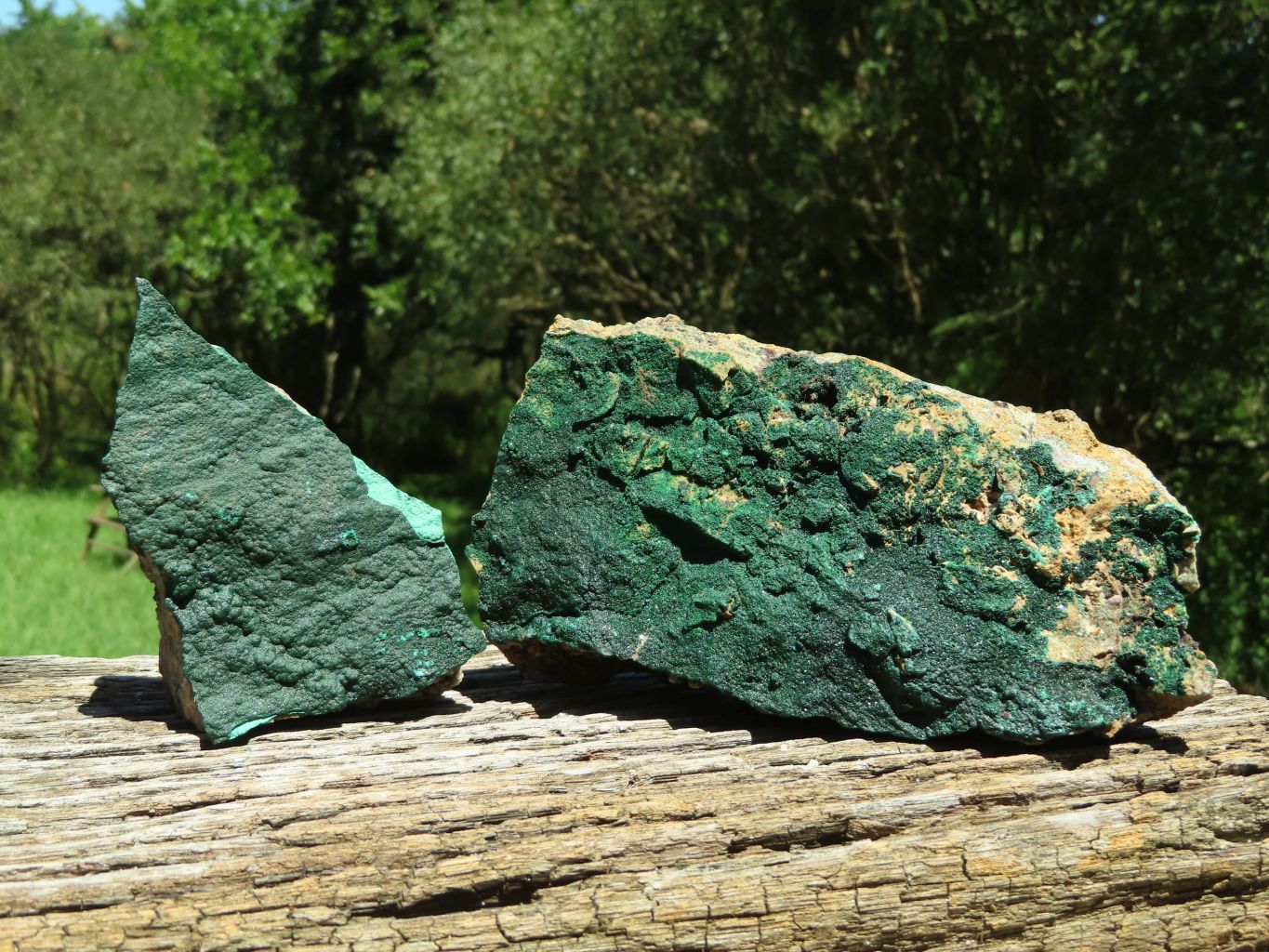 Natural Micro botryoidal Malachite on Matrix (Medium to Large Specimens ) x 2 From Congo - TopRock
