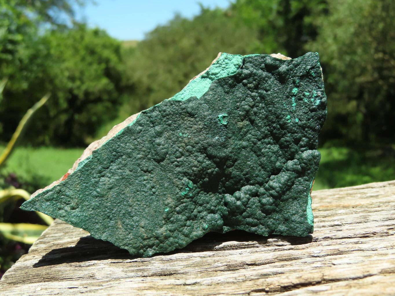 Natural Micro botryoidal Malachite on Matrix (Medium to Large Specimens ) x 2 From Congo - TopRock