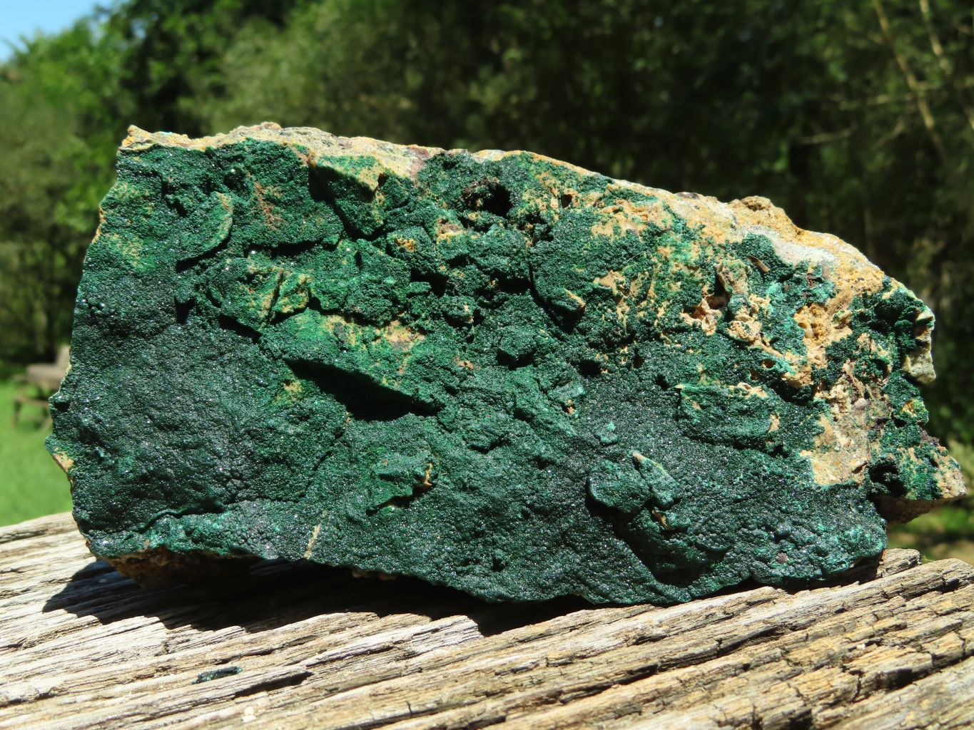 Natural Micro botryoidal Malachite on Matrix (Medium to Large Specimens ) x 2 From Congo - TopRock