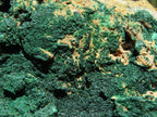 Natural Micro botryoidal Malachite on Matrix (Medium to Large Specimens ) x 2 From Congo - TopRock