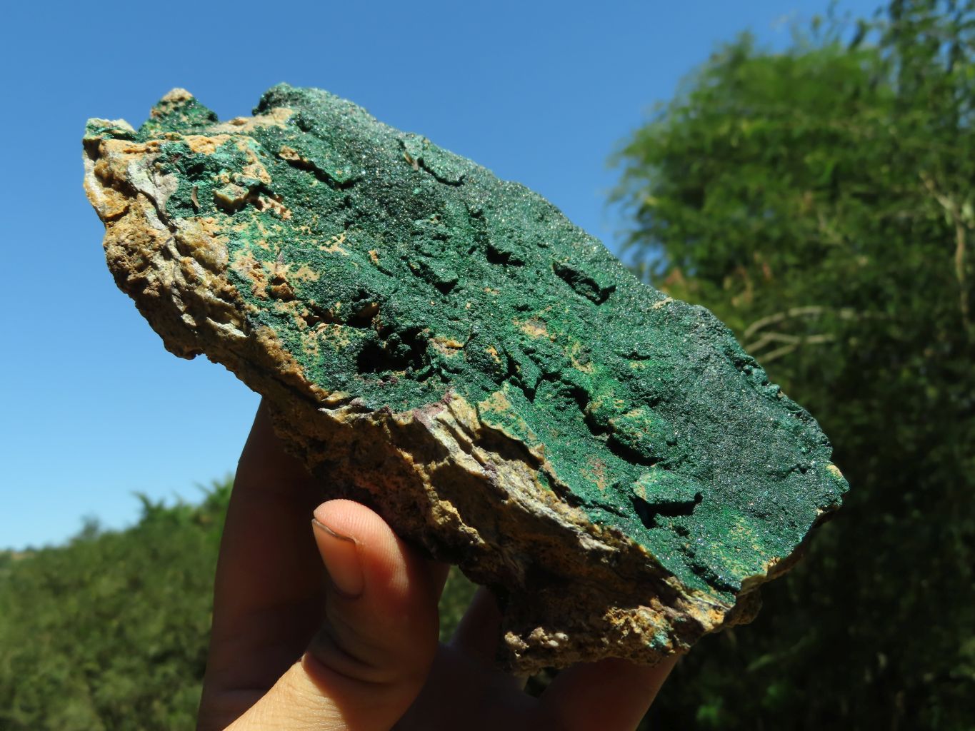 Natural Micro botryoidal Malachite on Matrix (Medium to Large Specimens ) x 2 From Congo - TopRock