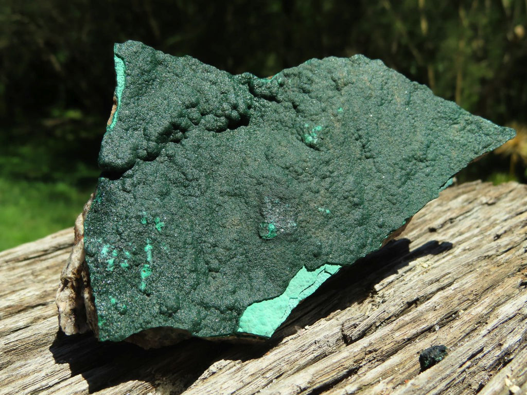 Natural Micro botryoidal Malachite on Matrix (Medium to Large Specimens ) x 2 From Congo - TopRock